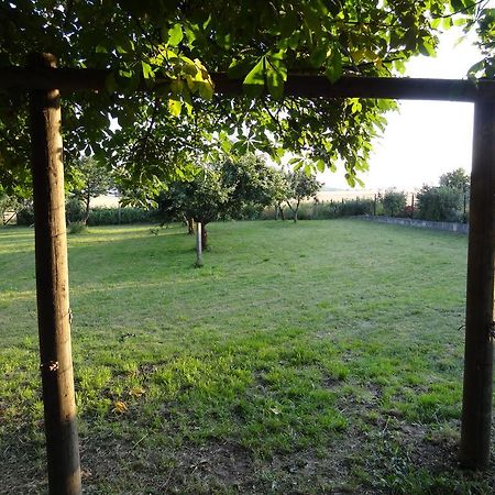 Nitschke "Zum Nusshof" Apartment Ahrensfelde Bagian luar foto